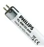 Philips T5 Short 8W - 640 Kaltweiß | 29cm